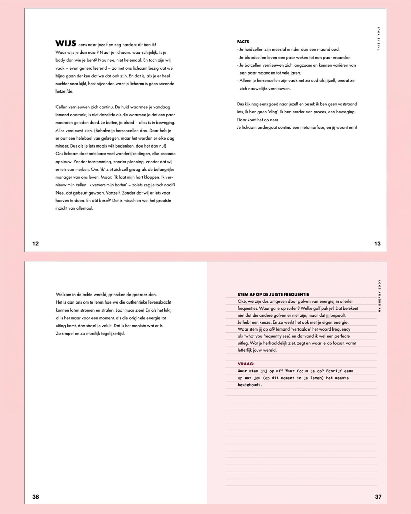 Productafbeelding 3